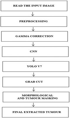 A deep learning model for the localization and extraction of brain tumors from MR images using YOLOv7 and grab cut algorithm